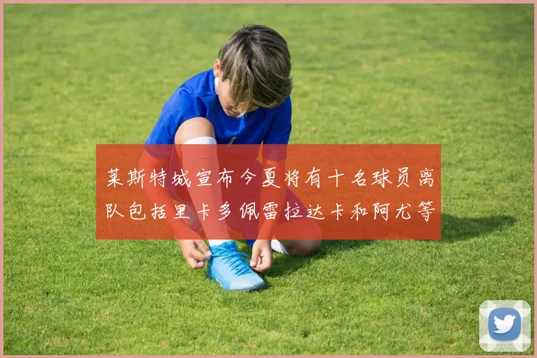 莱斯特城宣布今夏将有十名球员离队包括里卡多佩雷拉达卡和阿尤等人